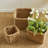 Birch Lane™ Seagrass Basket