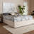 Abbey Hassell Modern and Contemporary Fabric Upholstered 4-Drawer Platform Storage Bed Frame-378947174-378947181