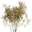 Arrangement-640570226-640570227