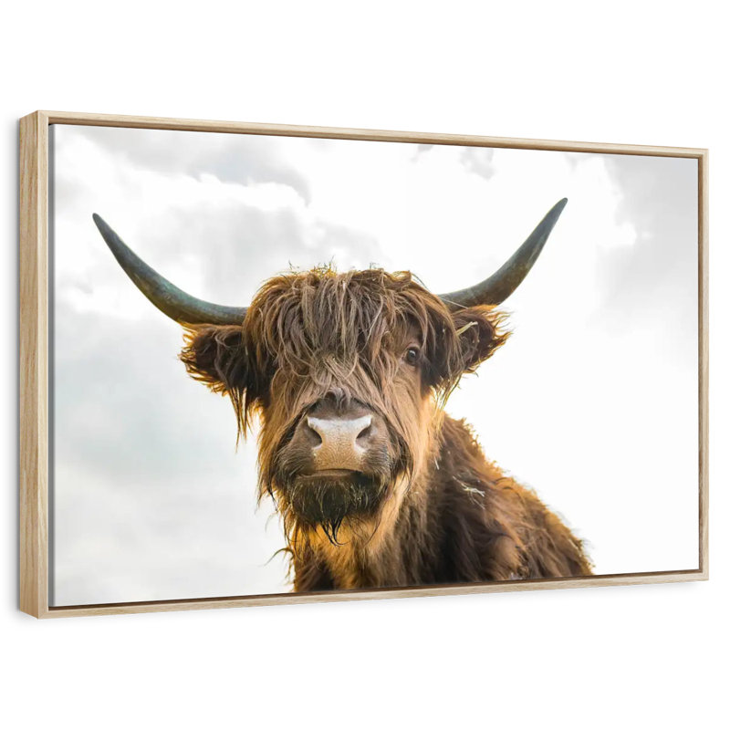 Image de vache, Cadre flottant en bois naturel, 25 po x 17 po