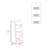 47" Tall Three-Tier Ladder Bookcase White