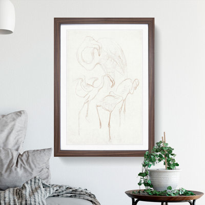 Flamingo Study by Theo Van Hoytema - Picture Frame Drawing