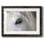 Balearic Island Horse, impression sur papier-835999627-835999623