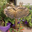Mcelroy Plastic / Acrylic Single Tier Birdbath