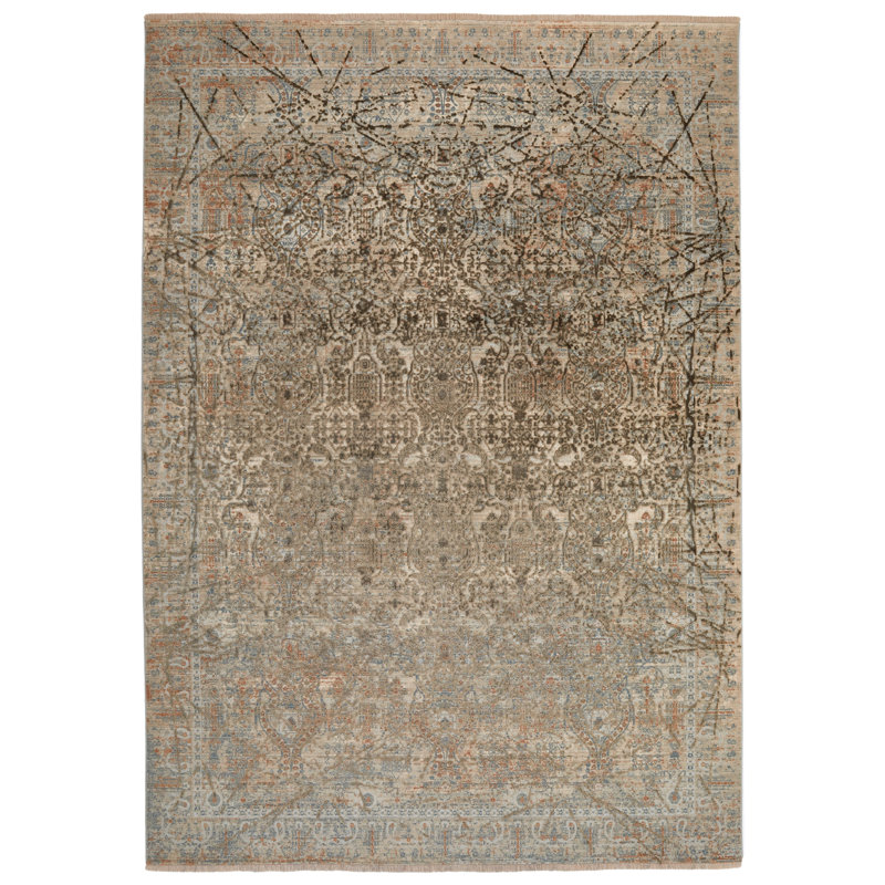 Alphe Oriental Area Rug, Rectangle 160 x 230cm
