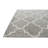 Odenton Gray Rug