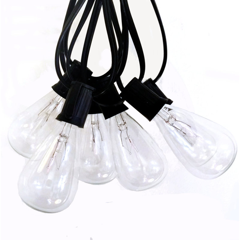 Edison String Lights Outdoor Plug-in String Light, 600" L, Black