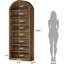 Bibliothèque arquée avec tablettes ouvertes-1329569213