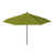 Ginkgo