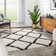Cabana Moroccan Shag Area Rug