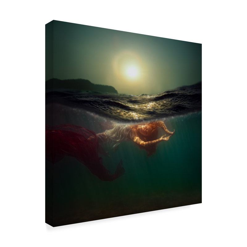 « siren ii », reproduction de photo sur toile tendue, H 35 po x l 35 po x P 2 po