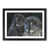 Black Framed selected