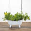 Mini porte-savon Kamel-822839478