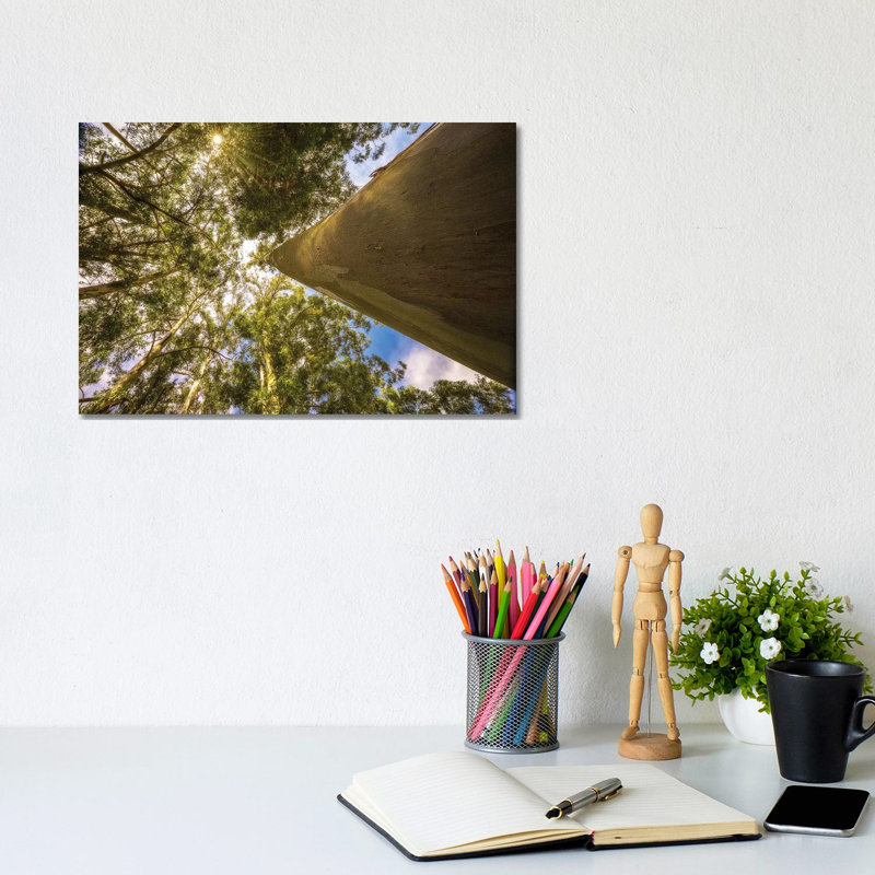 Magical Tree by Glauco Meneghelli - Gallery-Wrapped Canvas Giclée on Canvas, 20.32 cm H x 30.48 cm W, No Frame