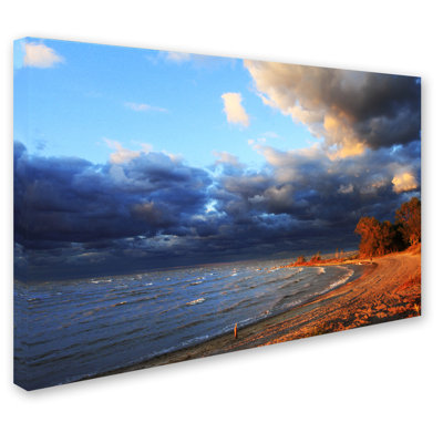 Trademark Fine Art JS0067-C1219GG