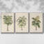 Les Palmiers II - Ensemble de 3 reproductions encadrées sur toile-97811931-97811938