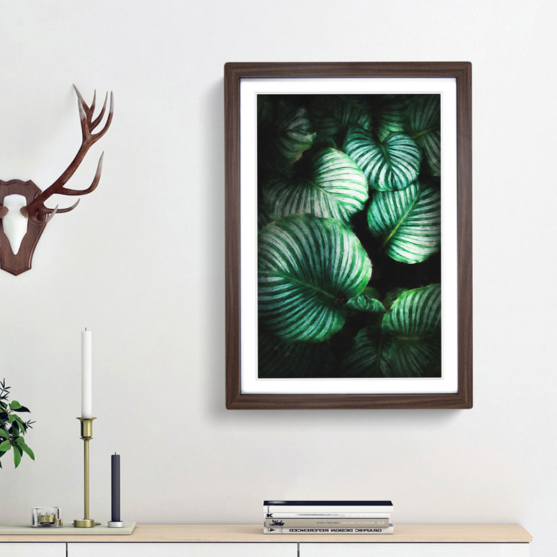 Gathered Green Plant Leaves - Picture Frame Painting Print, 45cm H x 33cm W x 2cm D, Walnut Framed