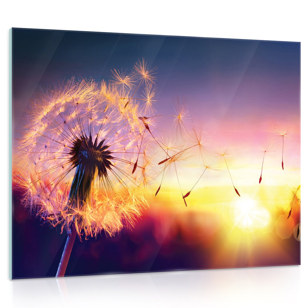 Glasbild Pusteblume