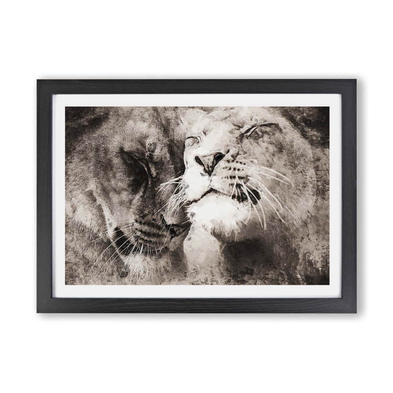 Pair of Loving Lions - Framed Print, 62cm H x 87cm W x 2cm D, Black