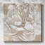 «Blush Bloom II» sur toile-1428603184