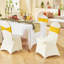 Polyester-426244107