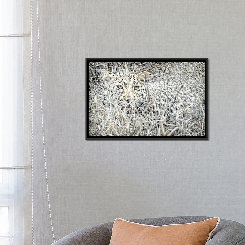 «Leopard», reproduction de photo sur toile, H 18 po x l 26 po x P 1,5 po, Toile avec cadre noir