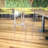 Donshay Indoor/Outdoor Transparent Ghost Side Chair