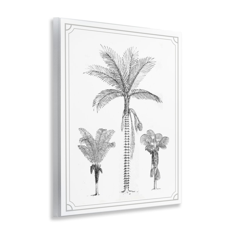 «Palm Tree Trio Sketches», plaque murale par Designed