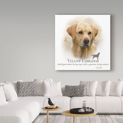 « yellow labrador », reproduction d’impression sur toile tendue