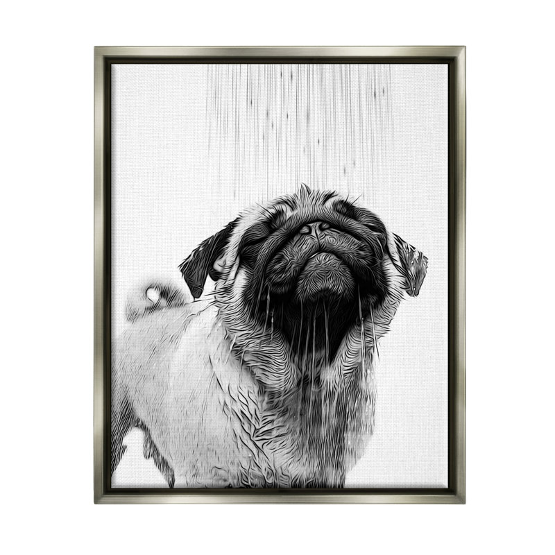 «Pug Bathroom Splash» par Annalisa Latella, Cadre flottant gris lustré, H 21 po x l 17 po x P 1,7 po