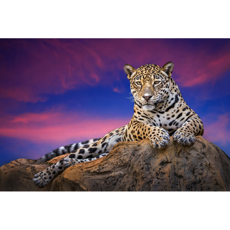 The Family Of Monkeys In The Wild - Wrapped Canvas Print, 61cm H x 91cm W