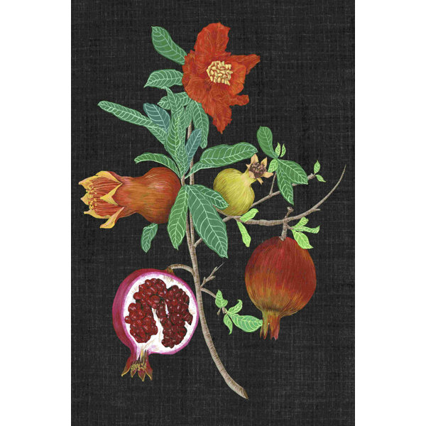 Rosalind Wheeler Pomegranate Study II On Canvas by Melissa Wang ...