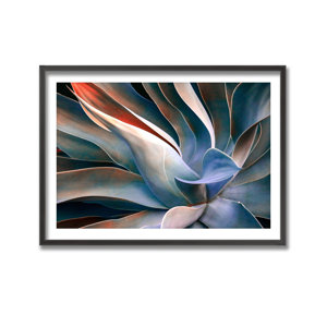 The Colors in Leaves by Robin Wechsler - Picture Frame Graphic Art on Paper