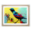 Bird Splash Vol.2 Abstract - Single Picture Frame Print-235122366-235122365