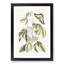 Swallowtail Butterfly by Mark Catesby - Picture Frame Graphic Art Print-55728404-55728405