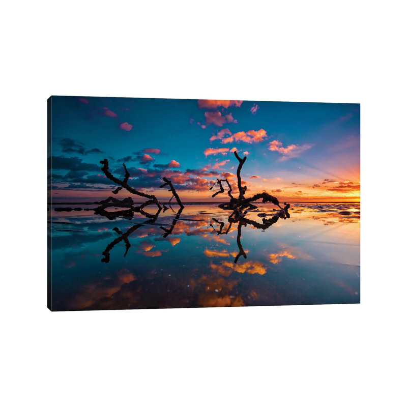 Sticks In The Water by Ben Mulder - Gallery-Wrapped Canvas Giclée on Canvas, No Frame, 20.32 cm H x 30.48 cm W