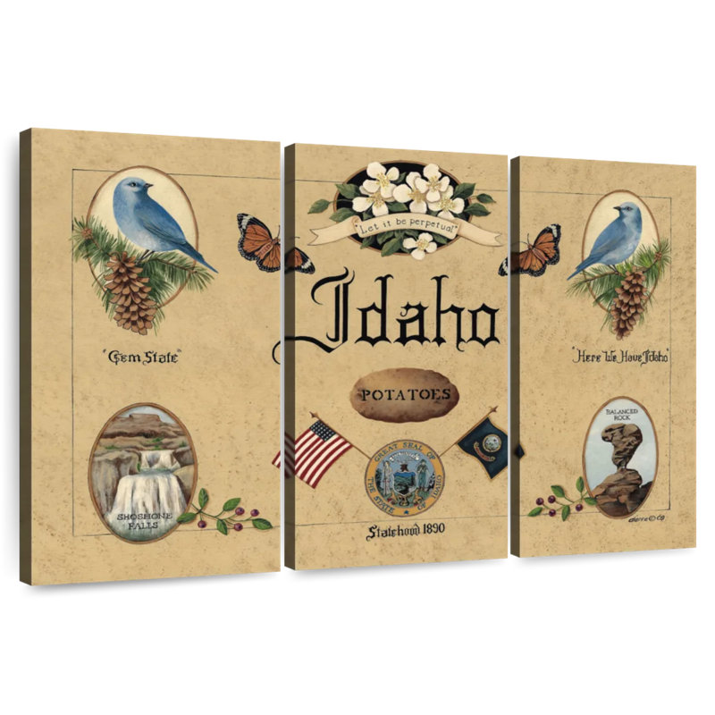 Idahoe, H 24 po x l 38 po