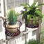 Plant Hanger