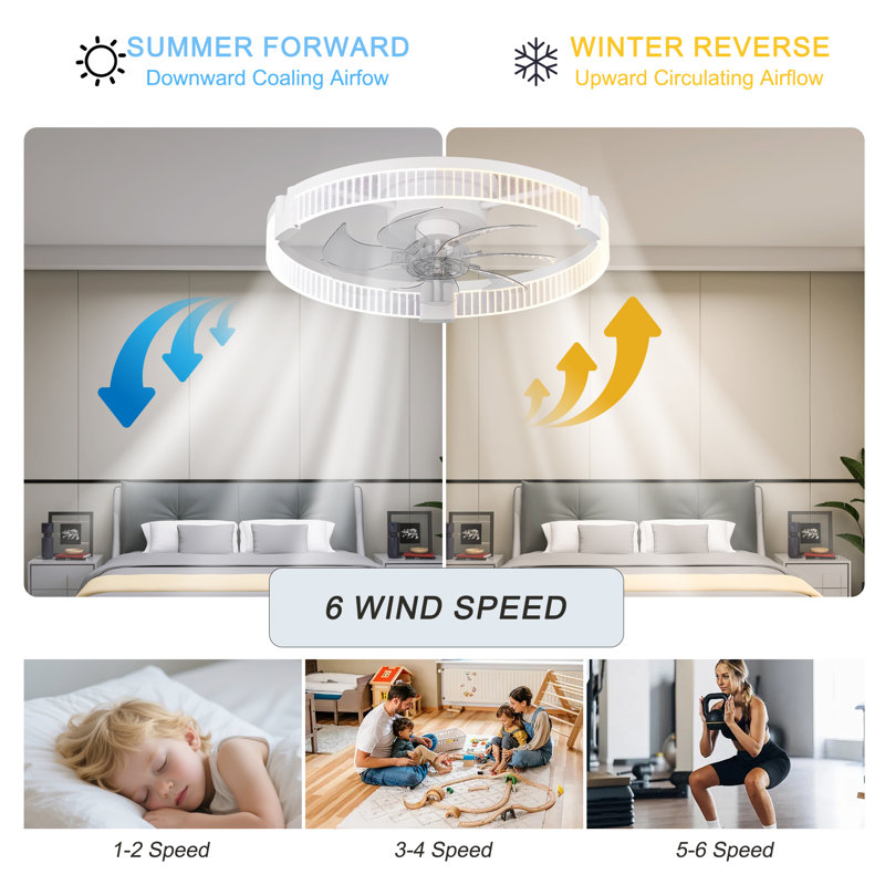 Justino 20“ 6-Speed LED Dimmable Reversible Modern Caged Ceiling Fan With Light And Remote Control
