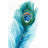 Long Peacock Feather Print On Canvas-698445402