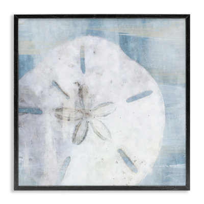 Stupell Industries Pastel Blue Sand Dollar Seashell By Nina Blue - Floater Frame Graphic Art On Wood In Midnight Black Framed Giclee