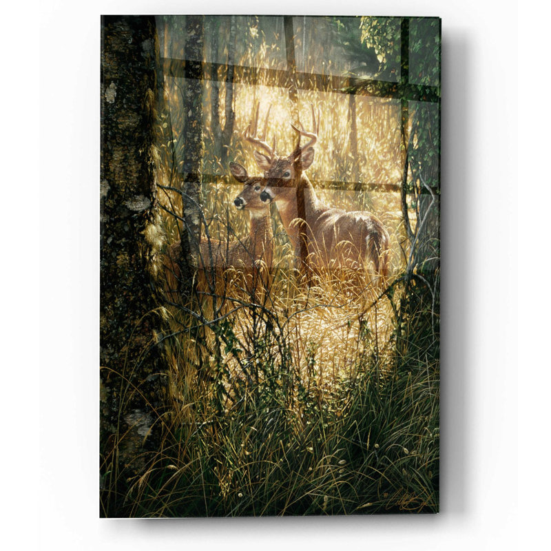 «A Golden Moment» par Collin Bogle, art mural en verre acrylique, H 16 po x l 12 po x P 0,13 po