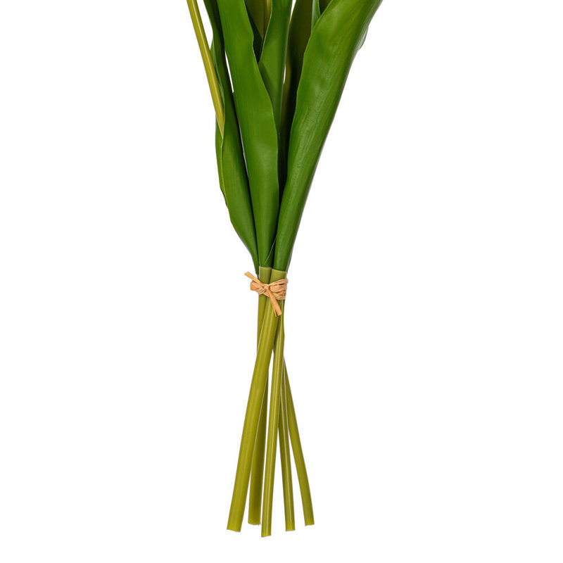 Vickerman 16"H Plum Tulip Bundle of 5., Pink Cream