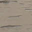 Planche en faux bois Pecky Cypress Endurathane-97441502-97441526
