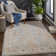Finnlagh Oriental Indoor Rug