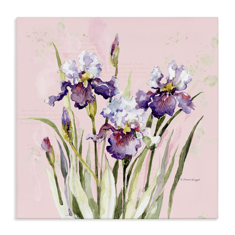 Iris mauves sur toile rose, design par Susan Winget, H 17 po x l 17 po