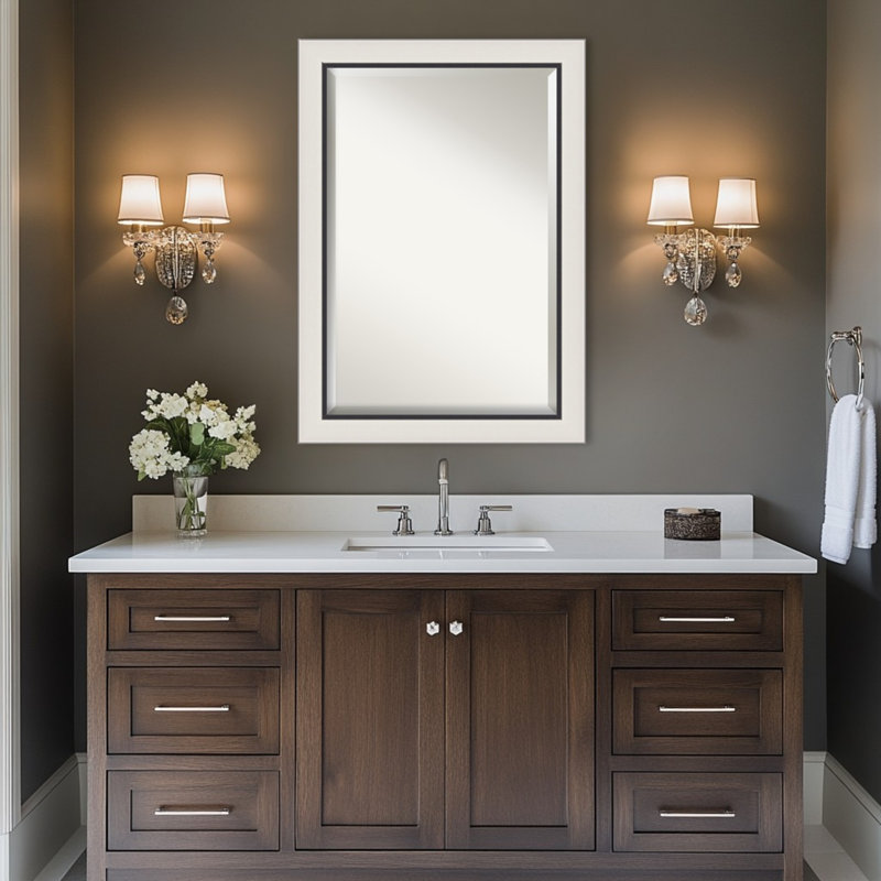 Miroir de salle de bain Ellie, Argent noir, 29,5 po x 23,5 po