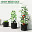 Vertical Garden