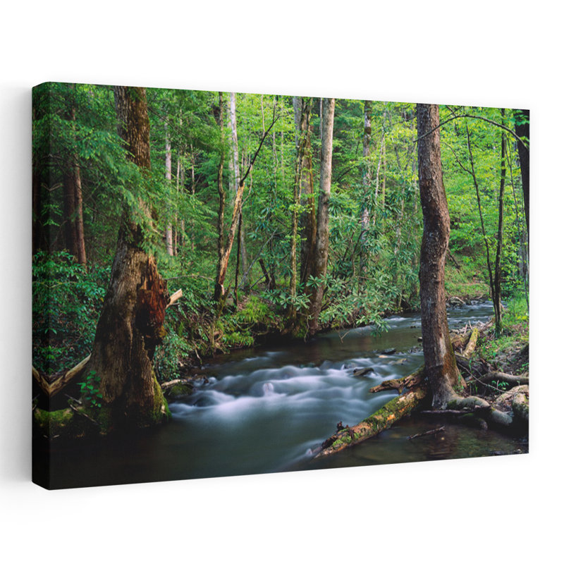 Ruisseau se ruant à travers la forêt dense, parc national des Great Smoky Mountains, Tennessee, États-Unis. Art paisible, paisible et paisible, forêt naturelle