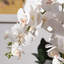Ornements de fleurs simulées